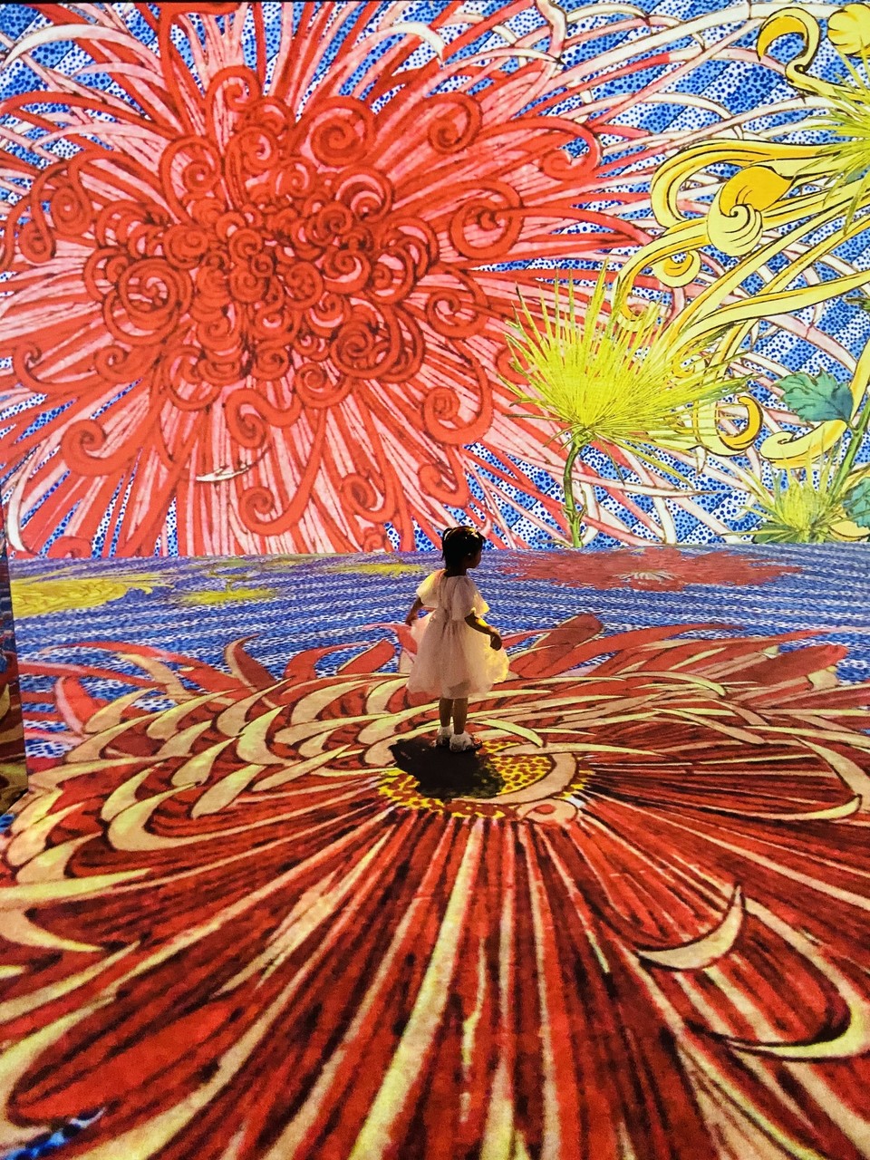 《幻境浮世绘》