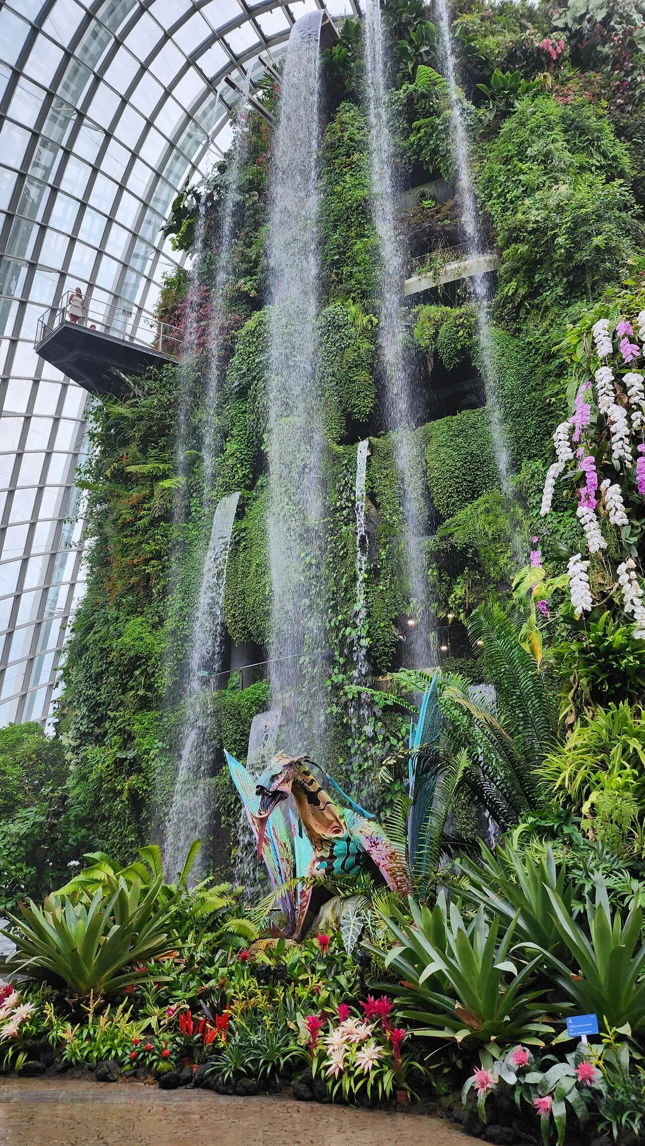 新加坡滨海湾花园的云雾林世界最高室内瀑布