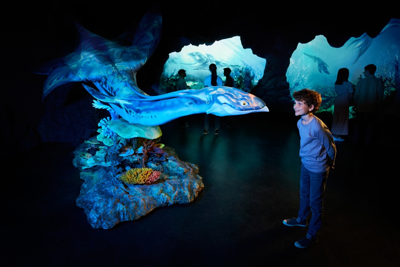 《阿凡达:体验》